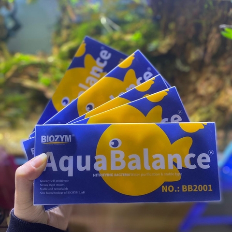Vi sinh cao cấp Biozym AquaBalance Nitrifying Bacteria- xử lý nước và chất thải trong bể