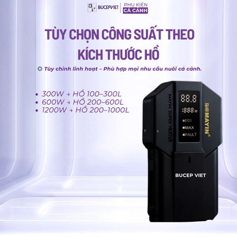 Sưởi Mayin Titan - Mẫu sưởi bế cá thủy sinh bền rẻ, nhiều công suất 300w - 600w - 1200w