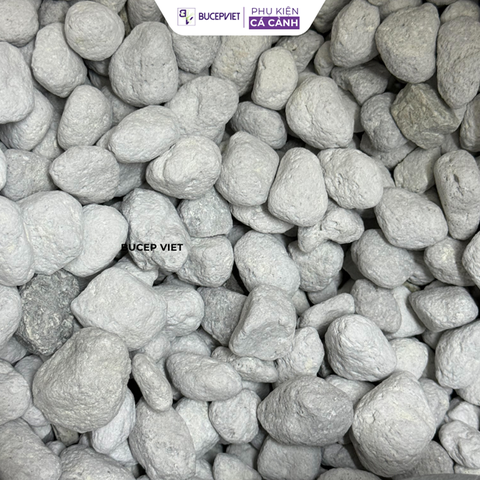 Vật liệu lọc Matrix Pond (hạt to) – Lọc nước hiệu quả cho bể cá tép thủy sinh