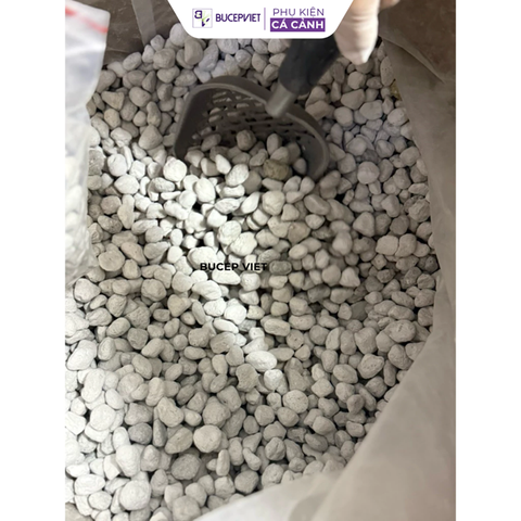 Vật liệu lọc Matrix Pond (hạt to) – Lọc nước hiệu quả cho bể cá tép thủy sinh