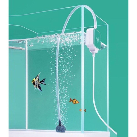 Sủi Oxy siêu êm Nepall - Không ồn, phù hợp để phòng ngủ, tặng kèm đầy đủ phụ kiện