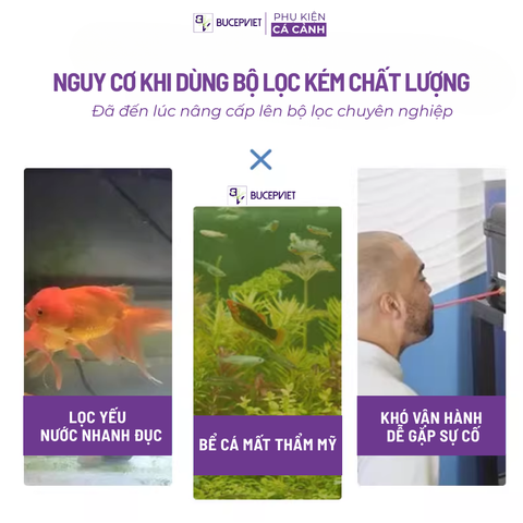 Lọc thùng Dophin CF-11008, CF-11308, CF-11508 thế hệ mới, Bảo hành 1 năm