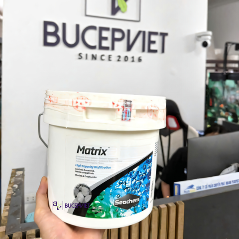 Thùng 4 Lít Matrix Seachem có tem chính hãng SICAVI - Vật liệu lọc làm trong nước, nuôi cấy vi sinh cải tạo trong nước hồ cá thủy sinh và cá cảnh biển