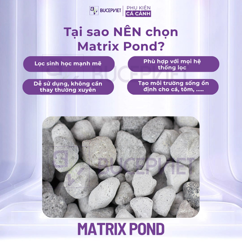 Thùng 20 lít Seachem Matrix Pond có tem Sicavi - Vật liệu lọc xử lý tạp chất, nuôi cấy vi sinh làm trong nước hồ cá koi thủy sinh