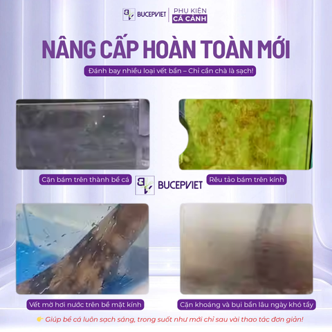 Nam Châm Cọ Bể Super Clear Mayin – Làm Sạch Kính Hồ Cá, Bám Dính Mạnh, Gọn Nhẹ