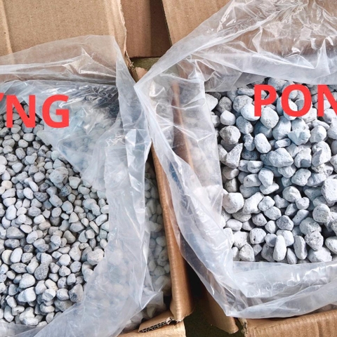 Thùng Nguyên 20LIT Matrix Pond cho bể thủy sinh