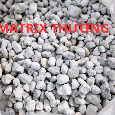 Thùng Nguyên 20LIT Matrix Pond cho bể thủy sinh