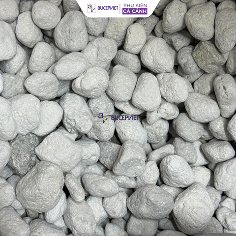 Thùng Nguyên 20LIT Matrix cho bể thủy sinh