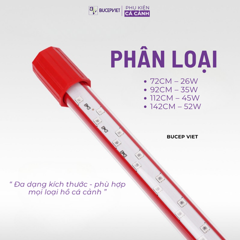 Đèn MAYIN Super Colour, Đèn Thủy Sinh Thế Hệ 3 Ánh Sáng Nổi Bật Cá Rồng, Cá Vàng, Cá Chép Đủ Kích Thước