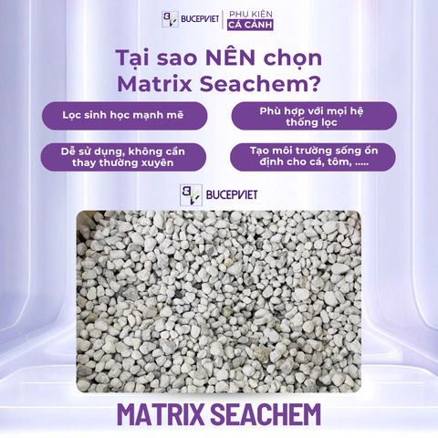 Thùng 4 Lít Matrix Seachem có tem chính hãng SICAVI - Vật liệu lọc làm trong nước, nuôi cấy vi sinh cải tạo trong nước hồ cá thủy sinh và cá cảnh biển