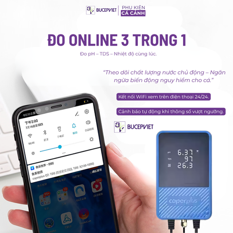 CaperPlus Q2 ĐO THÔNG SỐ PH, TDS , NHIỆT ĐỘ (Wifi) cho bể thủy sinh.