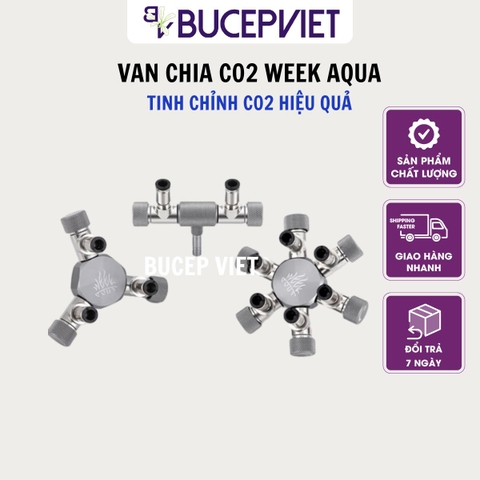 Van Chia Co2 Week Aqua