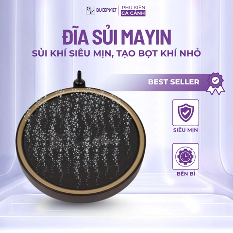 Đĩa Sủi MAYIN Siêu Mịn Cho Hồ Cá - Sủi Đĩa Cao Cấp Mayin Cho Bể Cá