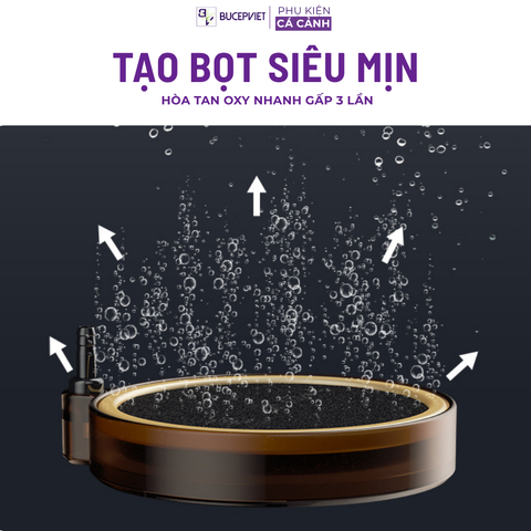 Đĩa Sủi MAYIN Siêu Mịn Cho Hồ Cá - Sủi Đĩa Cao Cấp Mayin Cho Bể Cá