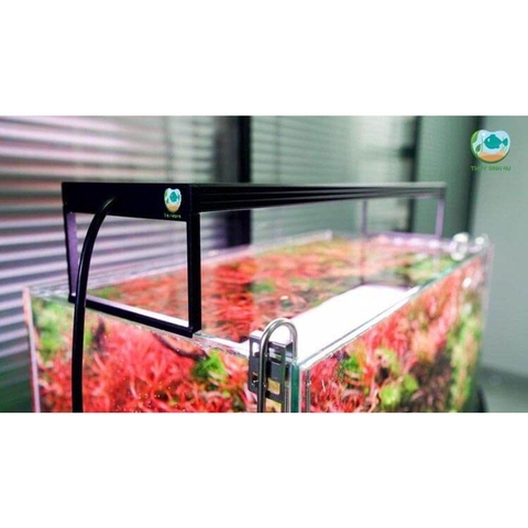 Đèn Chihiros WRGB 2 Pro - Chip LED siêu sáng đánh màu cá đẹp