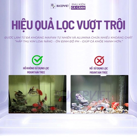 Hộp 5 lít sứ lọc Mountain Tree Nitro Ring II - Dạng củ sen cắt lát, tăng diện tích trú ngụ cho vi sinh, hỗ trợ lọc nước bể cá