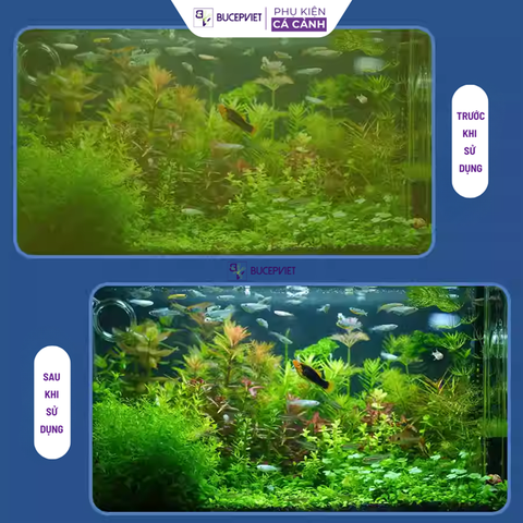 Lọc thùng Dophin CF-11008, CF-11308, CF-11508 thế hệ mới, Bảo hành 1 năm