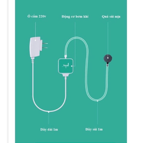 Sủi Oxy siêu êm Nepall - Không ồn, phù hợp để phòng ngủ, tặng kèm đầy đủ phụ kiện