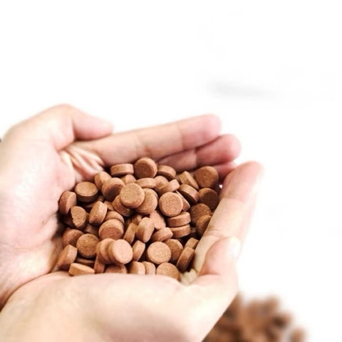 Thức ăn viên dán cao cấp DR+ Redworm (100g) - Thành phần chiết xuất từ sâu đỏ, trùnġ huyết siêu giàu dinh dưỡng