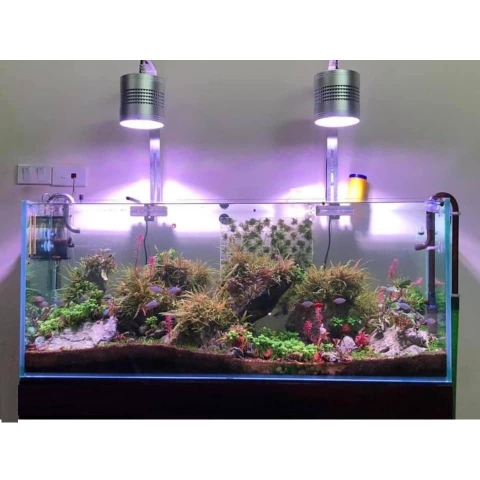 Đèn Week T90 Pro RGB-UV cao cấp - Bảo hành 1 tháng