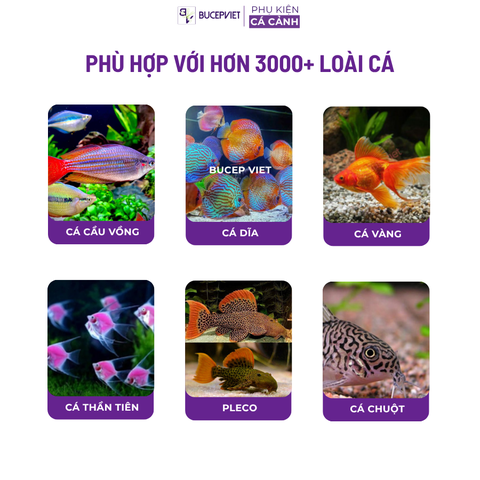 Cám cá cao cấp Hikari Mix 5in1 Super Red Thức ăn cá cảnh cám trùng huyết đỏ kích size, kích màu, hỗ trợ tiêu hóa cho cá