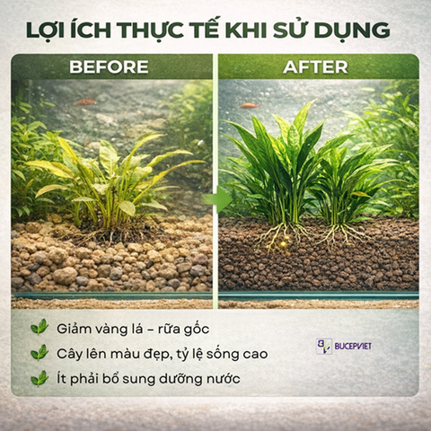 Cốt nền Tropica - Substrate (Bao 5 Lít, Bao 2,5 Lít) chính hãng