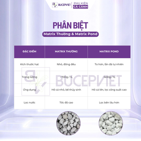 Thùng 20 lít Seachem Matrix Pond có tem Sicavi - Vật liệu lọc xử lý tạp chất, nuôi cấy vi sinh làm trong nước hồ cá koi thủy sinh