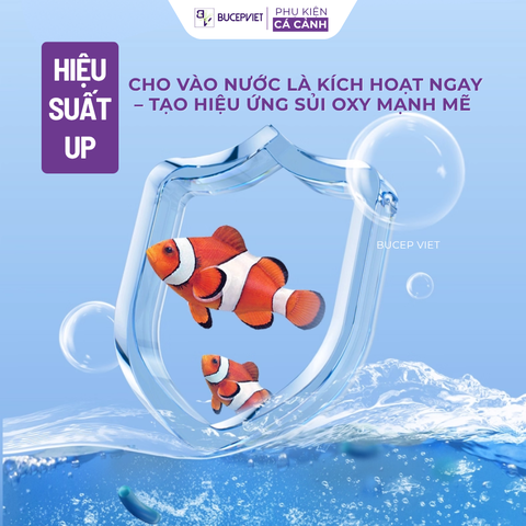 Vi sinh sống Biozym N1 đậm đặc và siêu mạnh