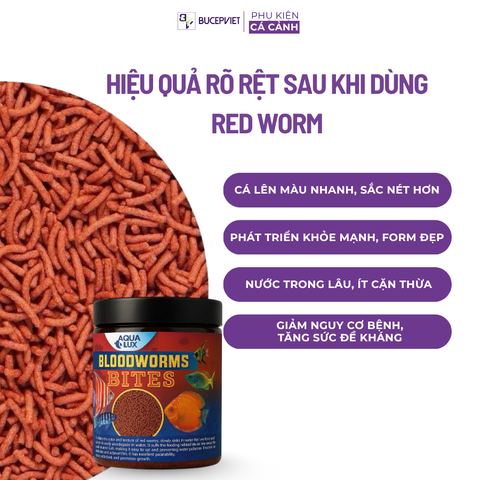 Thức Ăn Cá Cảnh Blood Worm – Cám Trùng Huyết Lên Màu Nhanh, Hạt Chìm Dần, Dinh Dưỡng Cao
