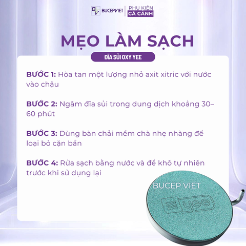 Đĩa sủi oxy YEE 38mm/58mm - Sủi siêu mịn, tăng hòa tan oxy, kèm van chia và hít kính cho hồ cá