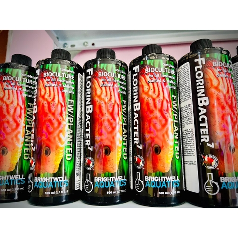 VI SINH FLORINBACTER - Brᶖghtwell Aquatics -Vi sinh Khử Nitơ, Phốt pho cho hồ nước ngọt và thuỷ sinh