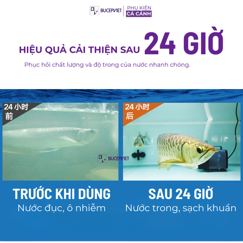 Biozym Water Quality Purifier làm trong nước chỉ sau 30 phút