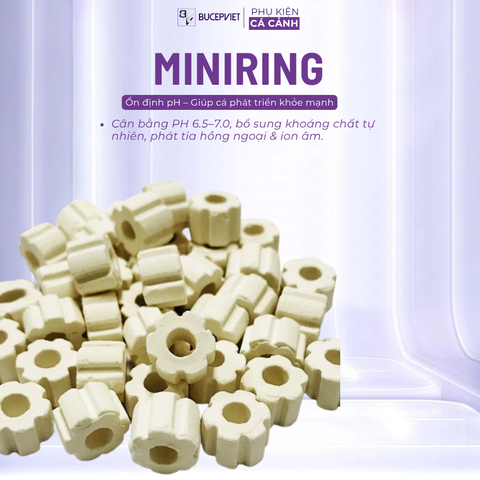 Vật liệu lọc Mini Ring hãng Mountain Tree - Vật liệu lọc cao cấp