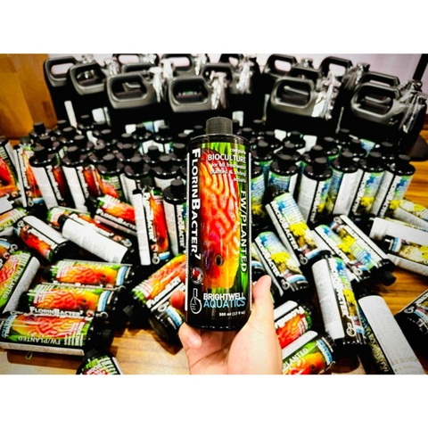 VI SINH FLORINBACTER - Brᶖghtwell Aquatics -Vi sinh Khử Nitơ, Phốt pho cho hồ nước ngọt và thuỷ sinh