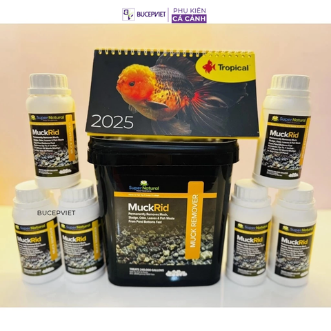 Vi sinh dị dưỡng MuckRid - Phân huỷ phân cá, thức ăn thừa siêu mạnh, làm sạch đường ống nhanh chóng.