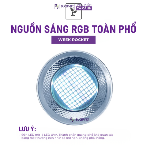 Đèn Week T90 Pro RGB-UV cao cấp - Bảo hành 1 tháng