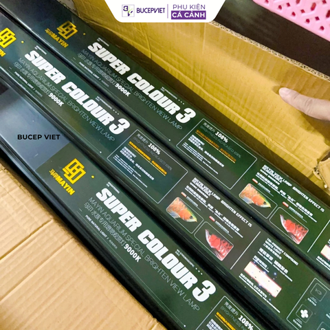 Đèn MAYIN Super Colour, Đèn Thủy Sinh Thế Hệ 3 Ánh Sáng Nổi Bật Cá Rồng, Cá Vàng, Cá Chép Đủ Kích Thước