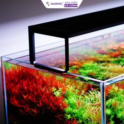 Đèn LED Thủy Sinh Netlea hệ AT5s RGB dành cho bể thủy sinh cao cấp – Chip đèn thế hệ mới, BH 3 tháng