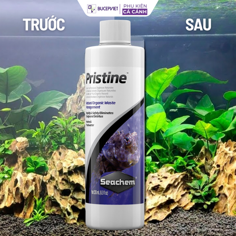 Vi sinh Seachem Pristine- phâ.n h.ủy phâ.n cá và chất hữu cơ