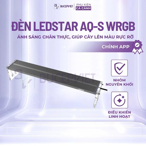 Đèn thuỷ sinh cao cấp LEDSTAR AQ-Z WRGB - Đem lại màu sắc chân thực cho bể,quang phổ giúp cây lên màu rực rỡ và chi tiết