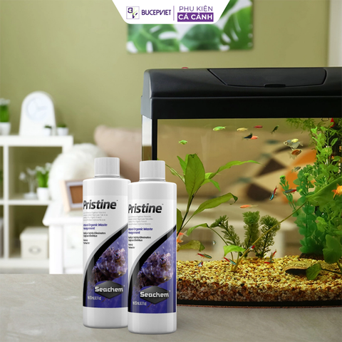 Vi sinh Seachem Pristine- phâ.n h.ủy phâ.n cá và chất hữu cơ