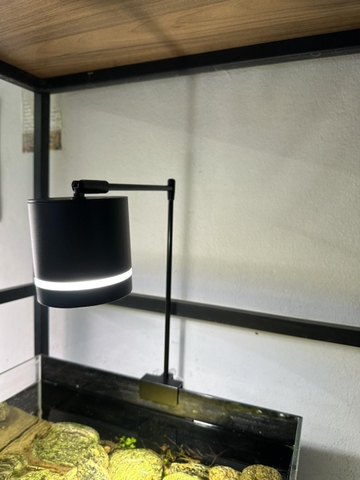 Đèn LED Coco FF Series 3 chế độ màu - Đèn kẹp bể thủy sinh, bể bán cạn, ánh sáng trắng vàng tự nhiên