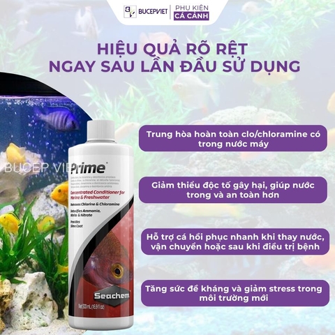 Seachem Prime khử clo, độc tố và chống cá sốc nước