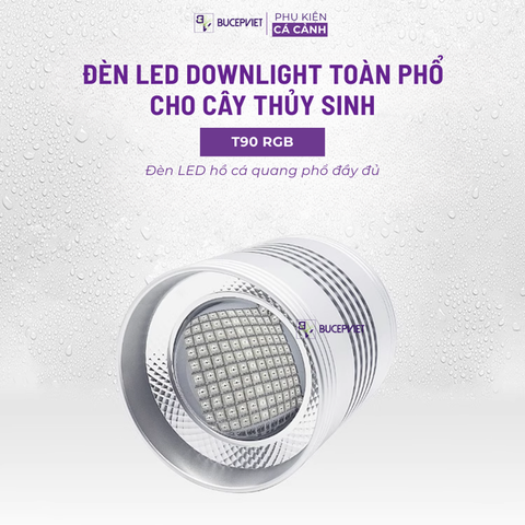 Đèn Week T90 Pro RGB-UV cao cấp - Bảo hành 1 tháng