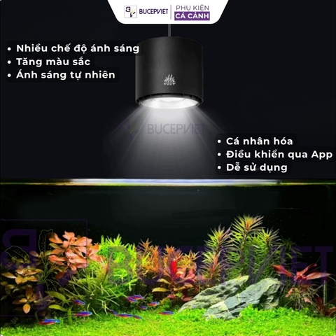 Đèn thủy sinh Week Aqua T140 Pro RGB+UVa 90W - Điều khiển App, quang phổ toàn diện, hỗ trợ lên màu cá, cây thủy sinh