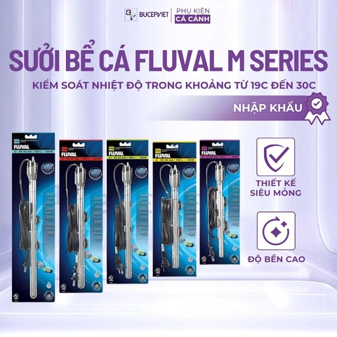 Sưởi Bể Cá Fluval M100 M200 M300