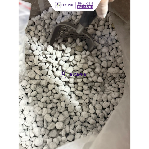 Thùng 4 Lít Matrix Seachem có tem chính hãng SICAVI - Vật liệu lọc làm trong nước, nuôi cấy vi sinh cải tạo trong nước hồ cá thủy sinh và cá cảnh biển
