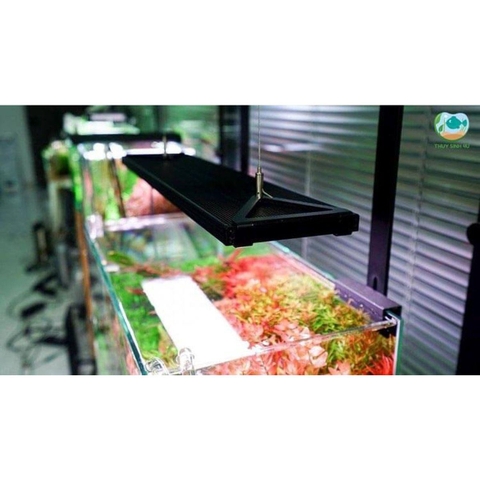 Đèn Chihiros WRGB 2 Pro - Chip LED siêu sáng đánh màu cá đẹp
