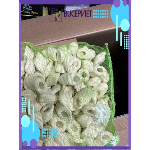 Túi  1L sứ lọc  Mountain Tree Nitro Ring 1 nhẫn nhỏ vật liệu lọc cao cấp khử NO2 nuôi vi sinh