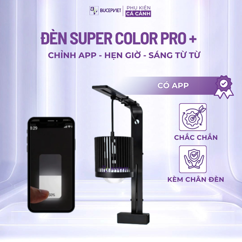 Đèn Lon Cá Vàng, Cá Chép Super Color Pro | Màu cá cực đẹp | Có APP tăng giảm sáng, hẹn giờ (không chỉnh màu)